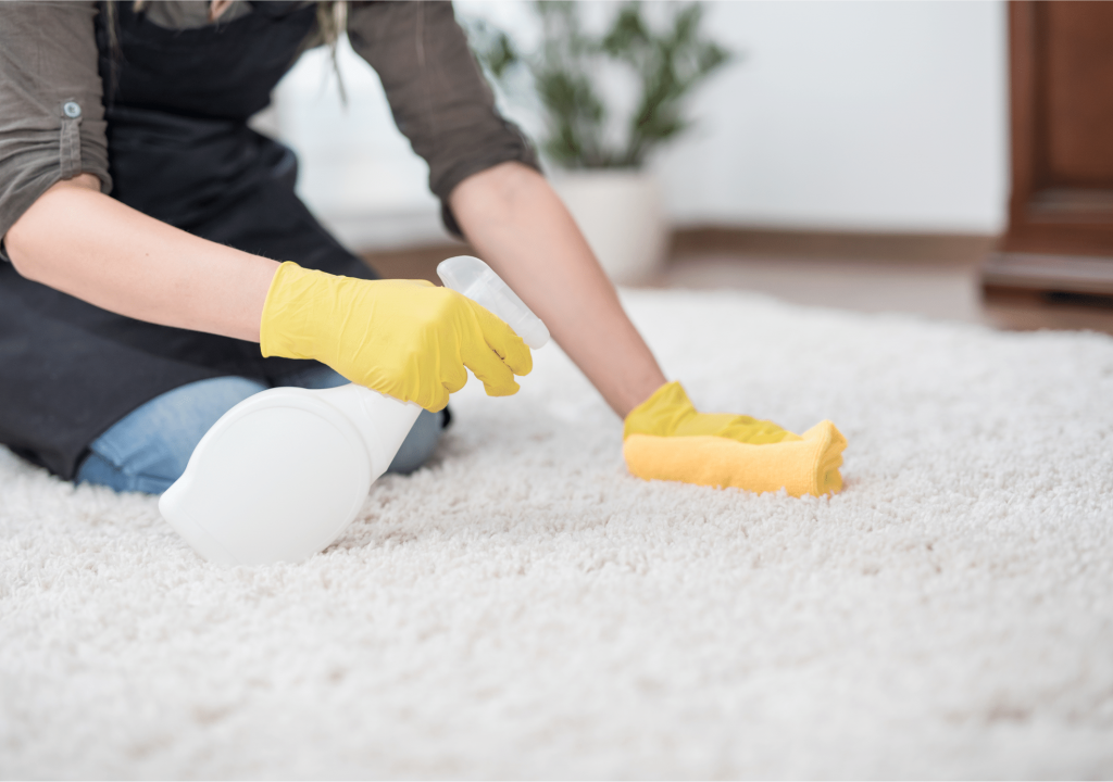 scotchguard pdq7odp7o7j4jdljypha5bym1jwin3w6ptzlhoickg